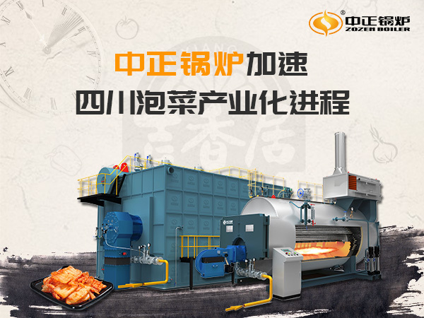 中正環保型低氮鍋爐 四川泡菜產業化的助推劑
