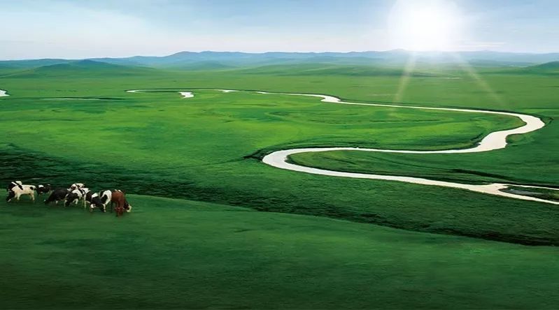 武威市伊利乳業